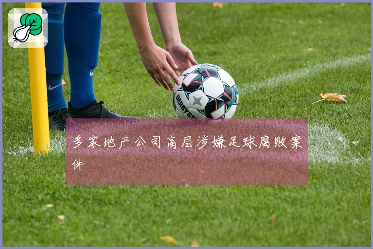 多家地产公司高层涉嫌足球腐败案件